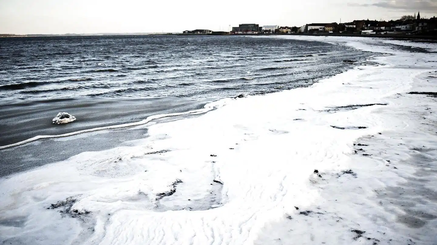 Fjordens vand er frosset til is ved bredden, og kun den stærke vind forhindrer resten af vandet til at gøre det samme. Vinterbadning ved Holbæk Fjord fotograferet mandag den 4. januar 2016. Vandet er nul grader varmt og luften føles som minus otte grader på grund af den voldsomme blæst. Hvor det for nogle vil være en god undskyldning for at blive indendørs, tiltrækker det en helt særlig type mennesker, der elsker den bidende kulde. (Foto: Mathias Løvgreen Bojesen/Scanpix 2016)