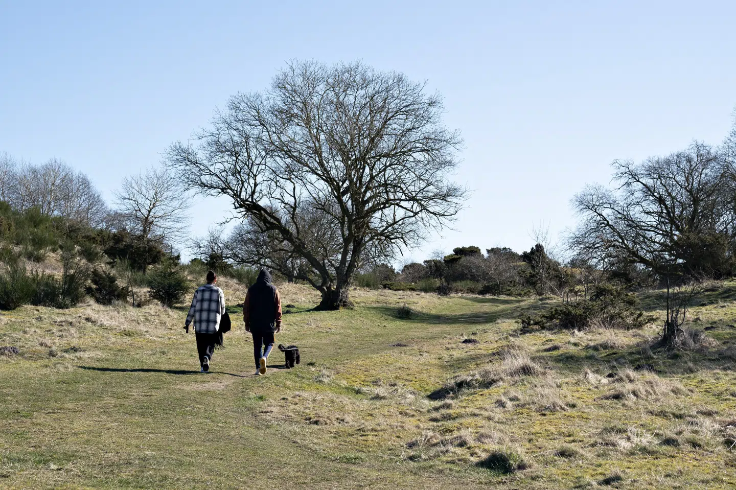 Det meste af landet kan se frem til pænt vejr i weekenden. (Arkivfoto.) Henning Bagger/Ritzau Scanpix