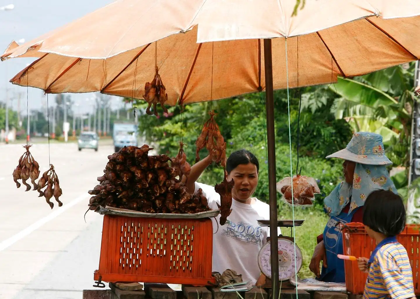 En kvinde sælger grillede rotter ved motorvejen i Thailand.