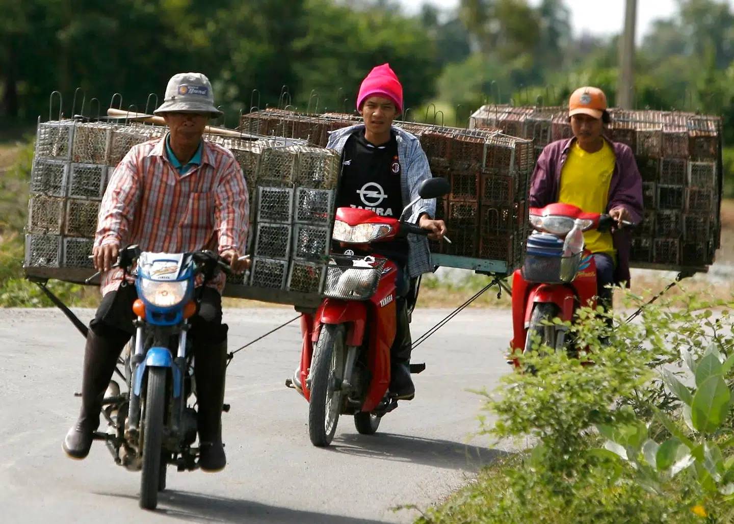 Landsbybeboerne på vej ud på deres motorcykler for at fange rotter på marken i Thailand.