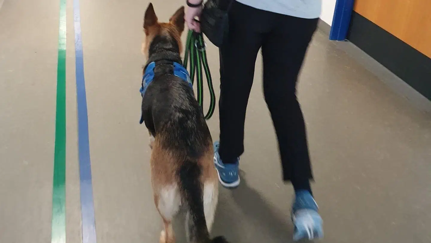 Kia og Ida er bedste venner. Foto: Privat.