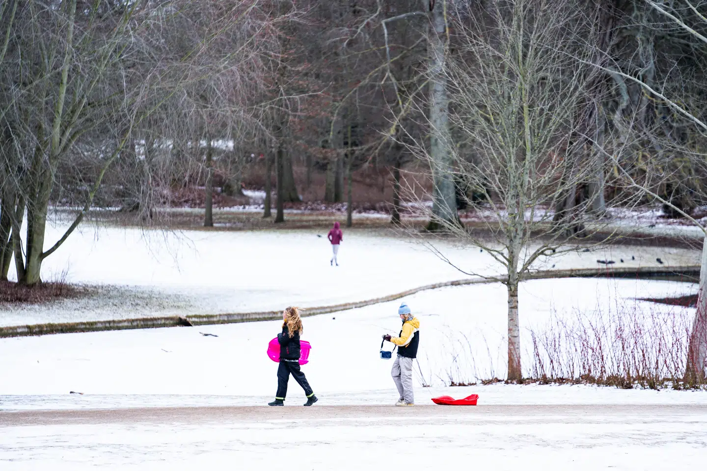 Fredag var en usædvanlig kold morgen i det meste af landet. (Arkivfoto). Emil Helms/Ritzau Scanpix