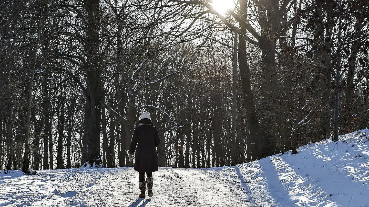 Februar står på frostgrader og sol.