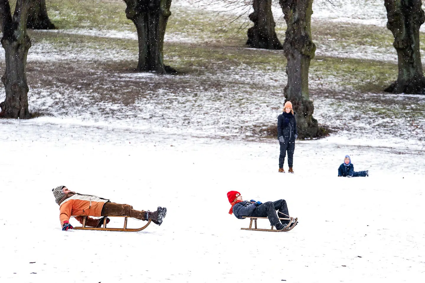 Hvis du har en kælk, er der god mulighed for at få den luftet i februar.