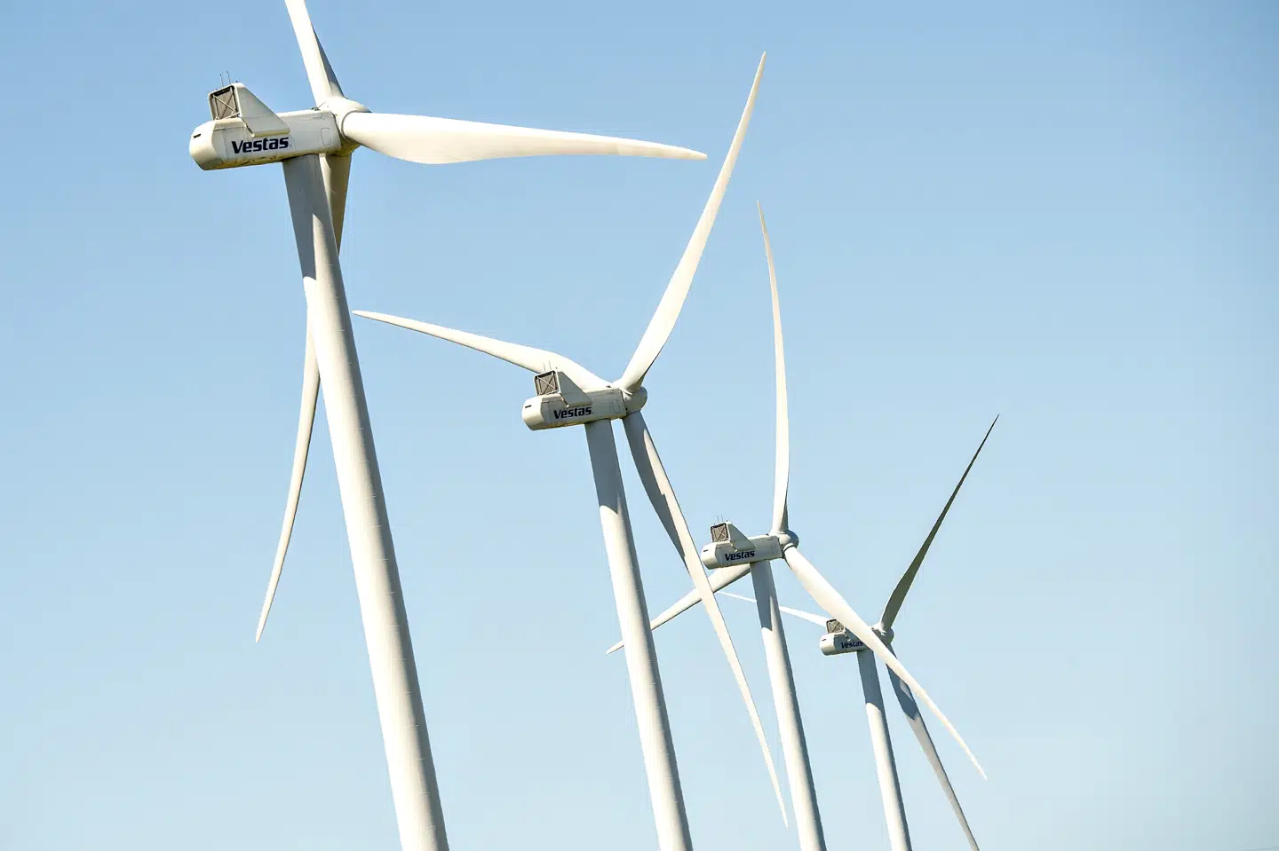 Vestas har sidste år øget sin omsætning i Nord- og Sydamerika. (Arkivfoto) Henning Bagger/Ritzau Scanpix