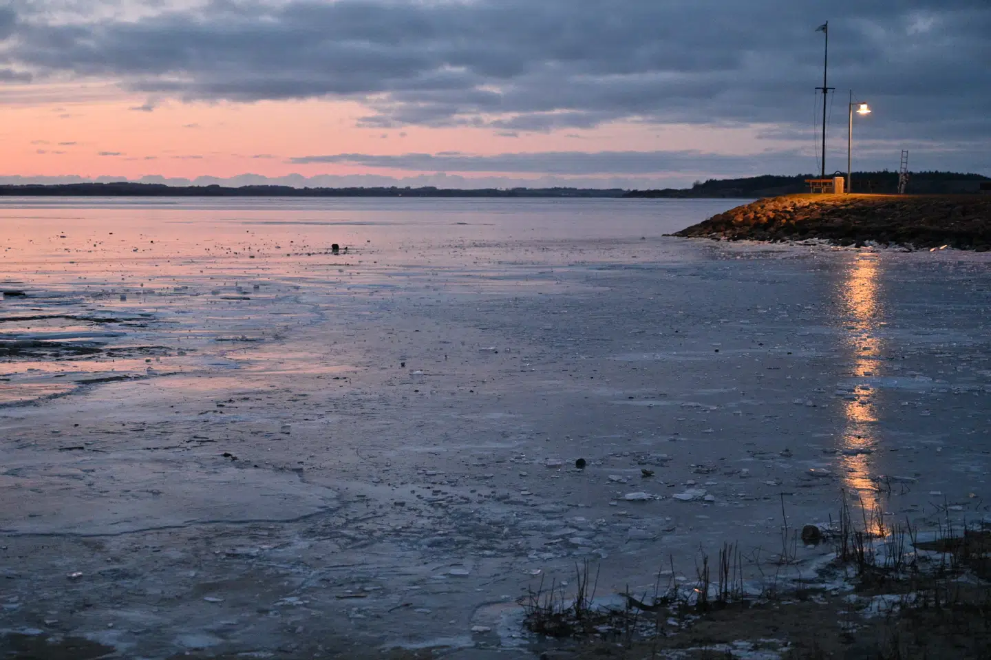 Sådan ser fjorden ved Løgstrup ud.