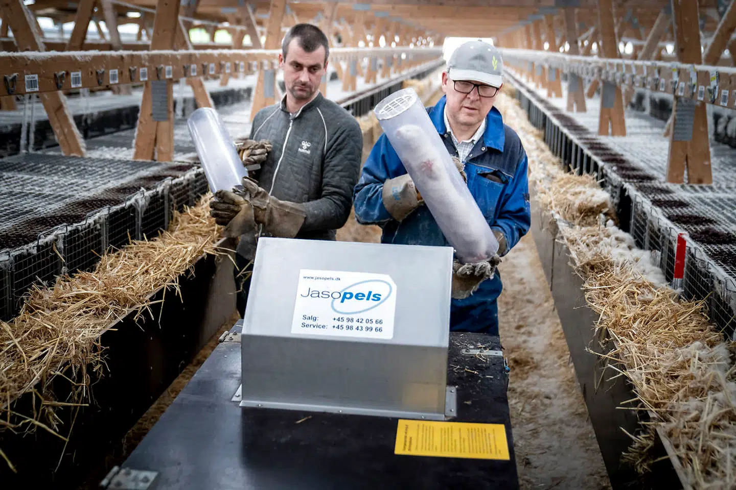 Raske mink aflives på en farm i Næstved, hvor der ikke var smitte.