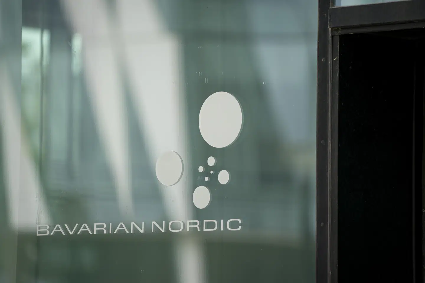 Bavarian Nordic vil gerne hjælpe til med at producere coronavacciner. (Arkivfoto) Liselotte Sabroe/Ritzau Scanpix