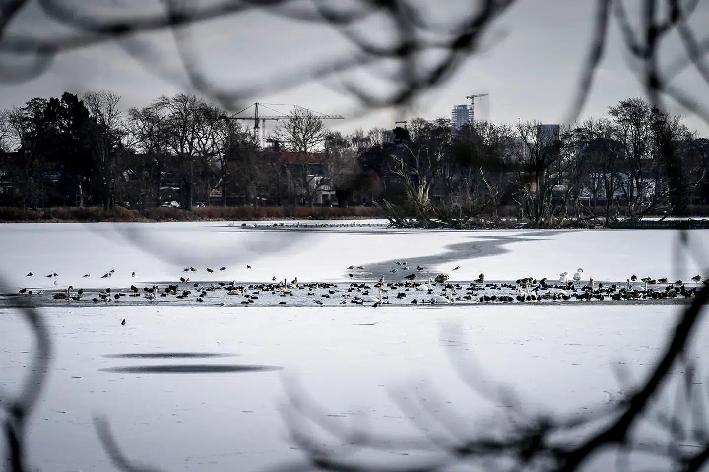 (Arkivfoto)