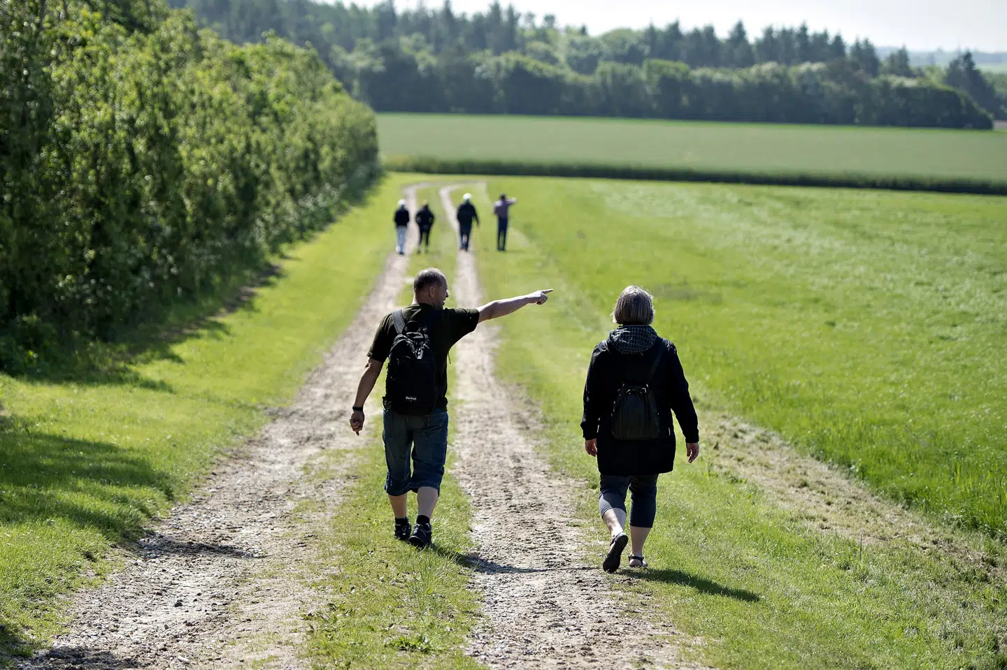 Selv om flere er begyndt at gå ture under coronaen, så frygter eksperter, at lukningen af motions- og sportaktivieter samlet set vil sætte varige spor på danskernes sundhed i lang tid fremover. (Arkivfoto) Henning Bagger/Ritzau Scanpix
