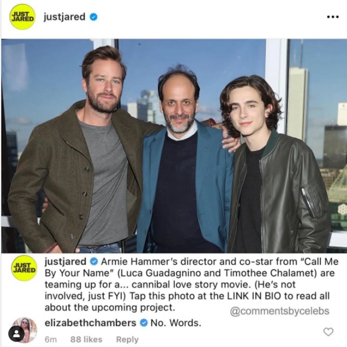 Her ses Just Jared opslag om deres artikel samt kommentaren fra Armie Hammers ekskone.