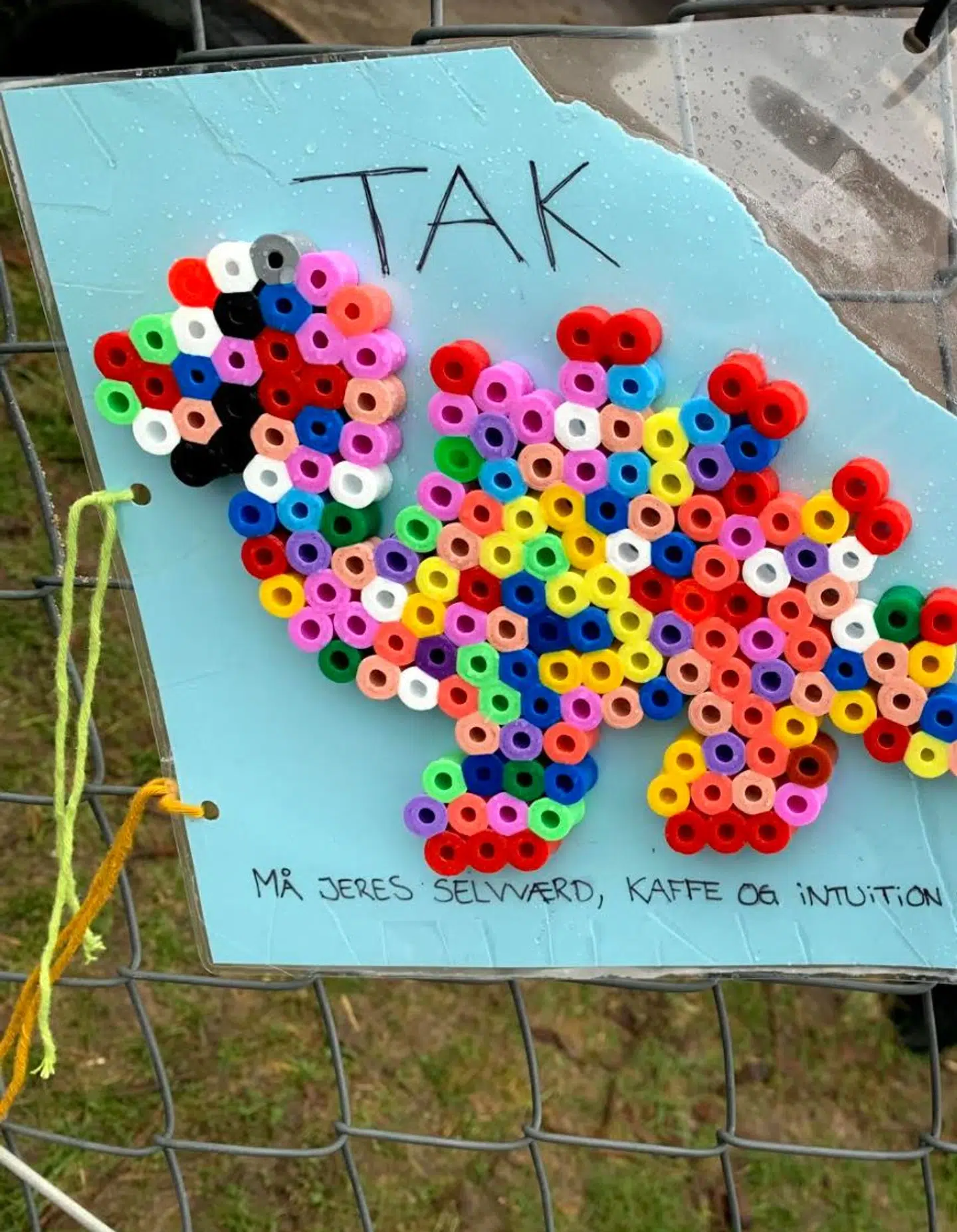 En tak og en dinosaur.