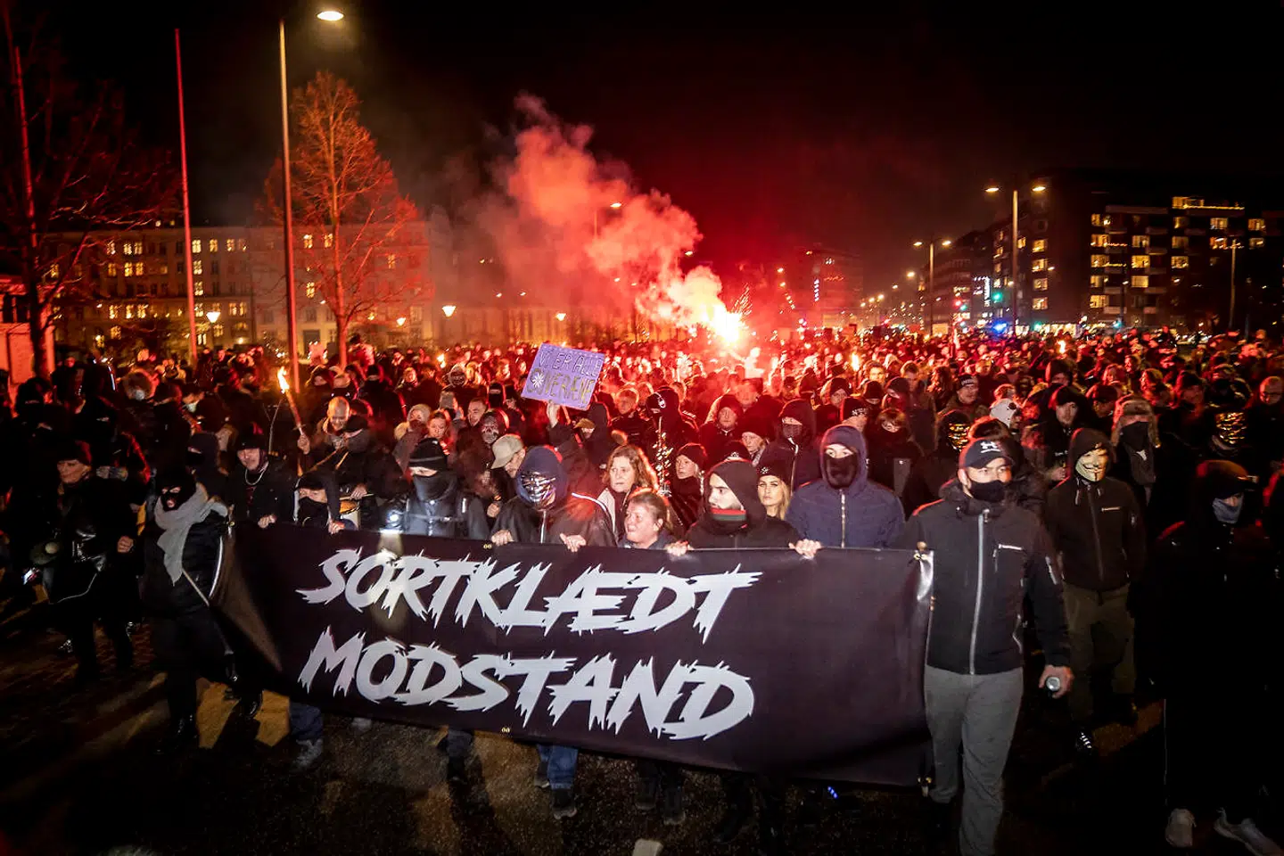 Sådan så det ud under lørdagens demonstration.