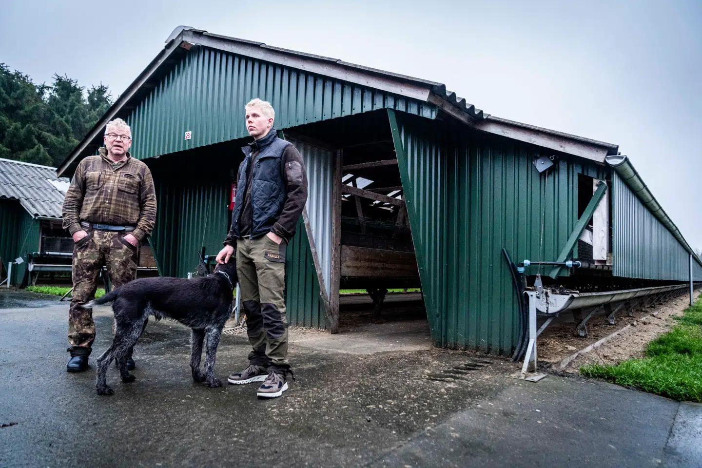 »Det er fuldstændig vanvittigt, det de har gjort,« siger John Junge. Her med sønnen Jesper, som også er en del af virksomheden, hvor der ikke er en eneste levende mink tilbage.Foto: Rasmus Laurvig