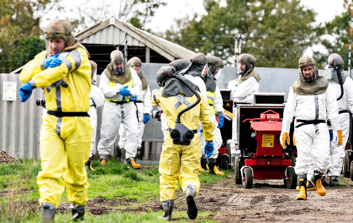Aflivningen af alle landets mink blev sat i gang på grund af frygt for en ny mutation, som SSI mente, kunne være resistent over for vacciner. Senere afviste Lægemiddelstyrelsen, at det var en fare.