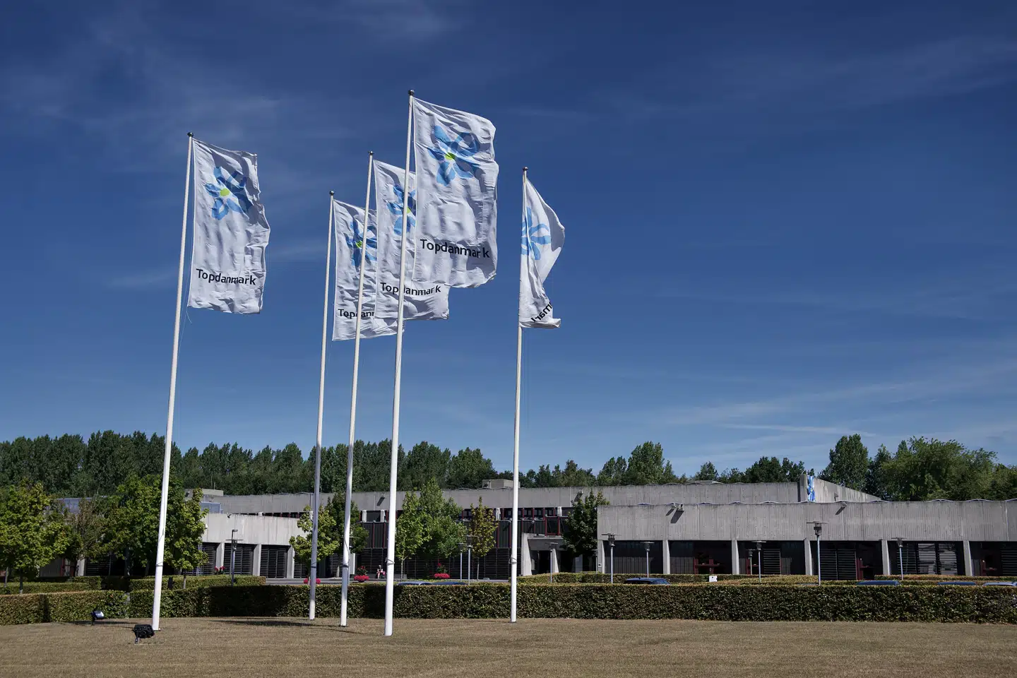 Topdanmark er Danmrks næststørste forsikringsselskab efter Tryg. Liselotte Sabroe/Ritzau Scanpix