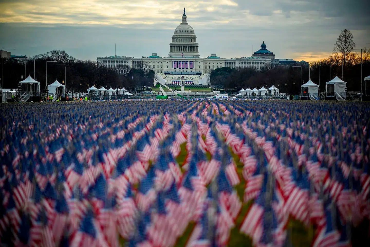 'Field of flags'.