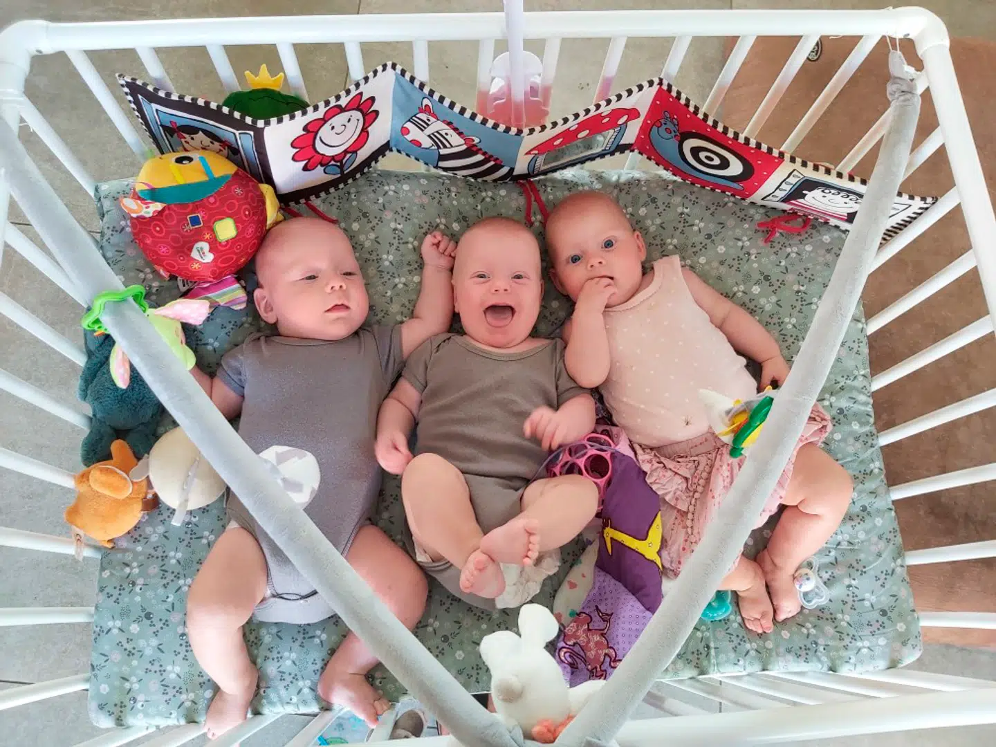 Holger, Hjalmer og Holly er allerede gode til at underholde hinanden, fortæller Simone, og det er en stor hjælp i hverdagen. (Privatfoto)