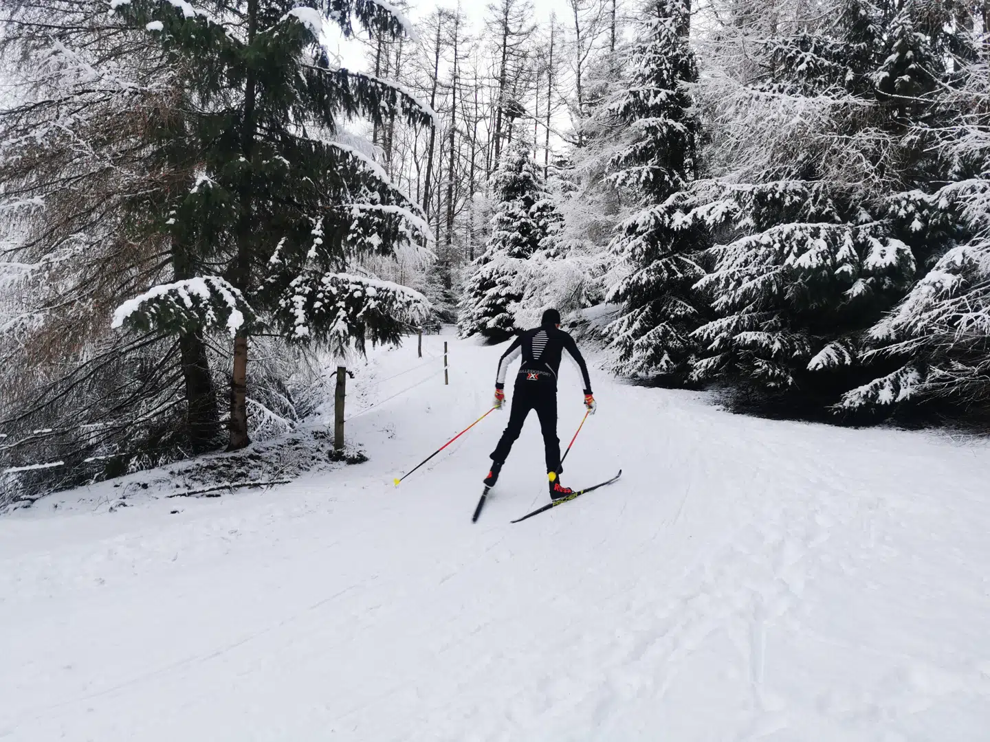 Det er ikke Norge. Det er Gribskov.