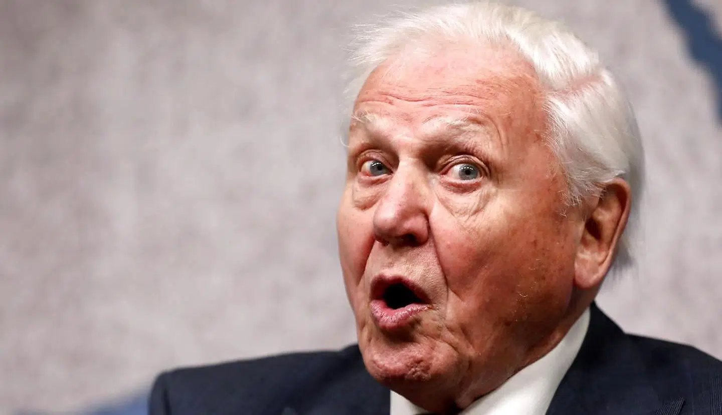 David Attenborough er angiveligt blevet vaccineret mod corona.