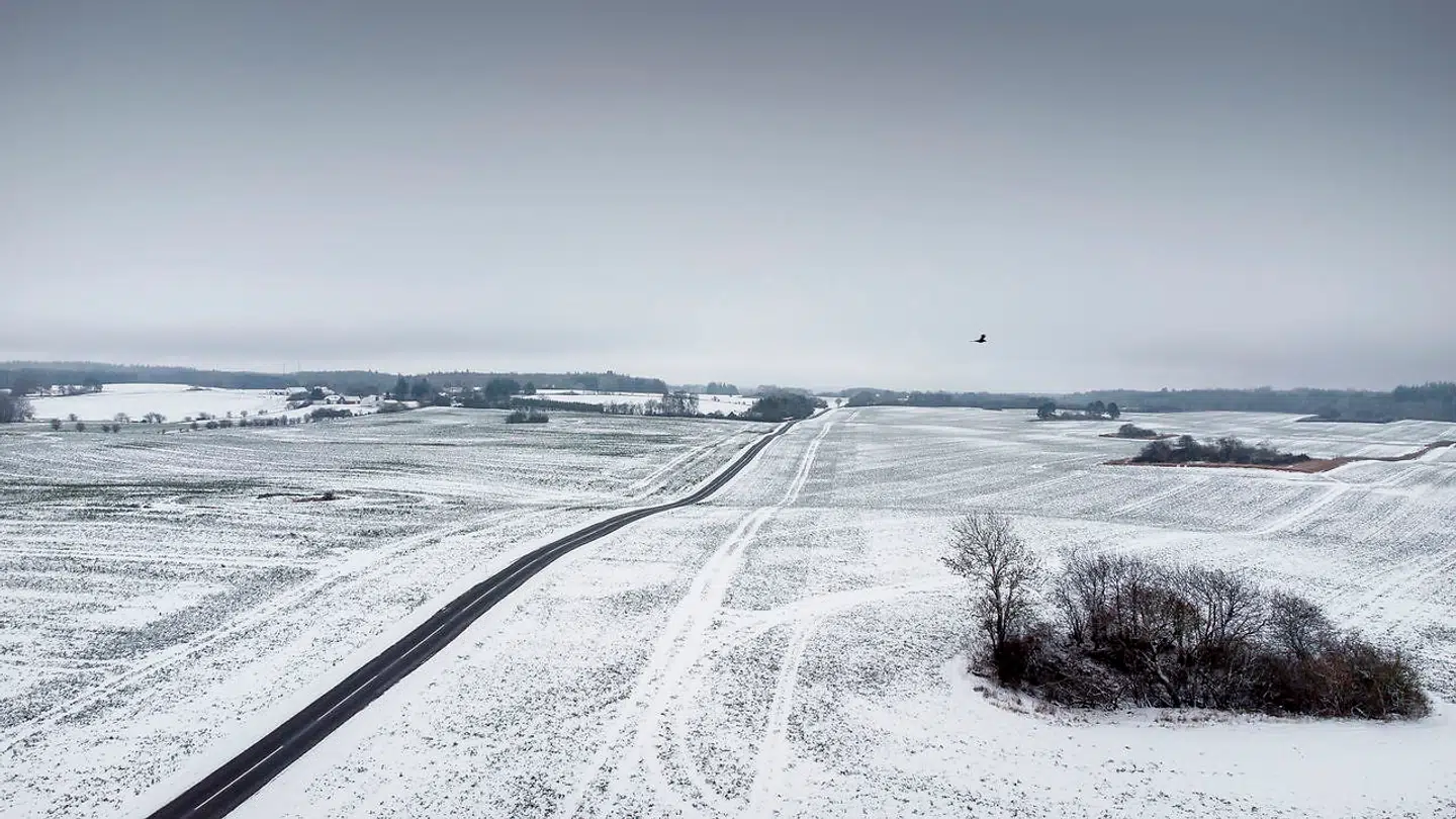 Sne pryder landskabet over Midtsjælland, fredag den 8. januar 2021.(Foto: Mads Claus Rasmussen/Ritzau Scanpix)