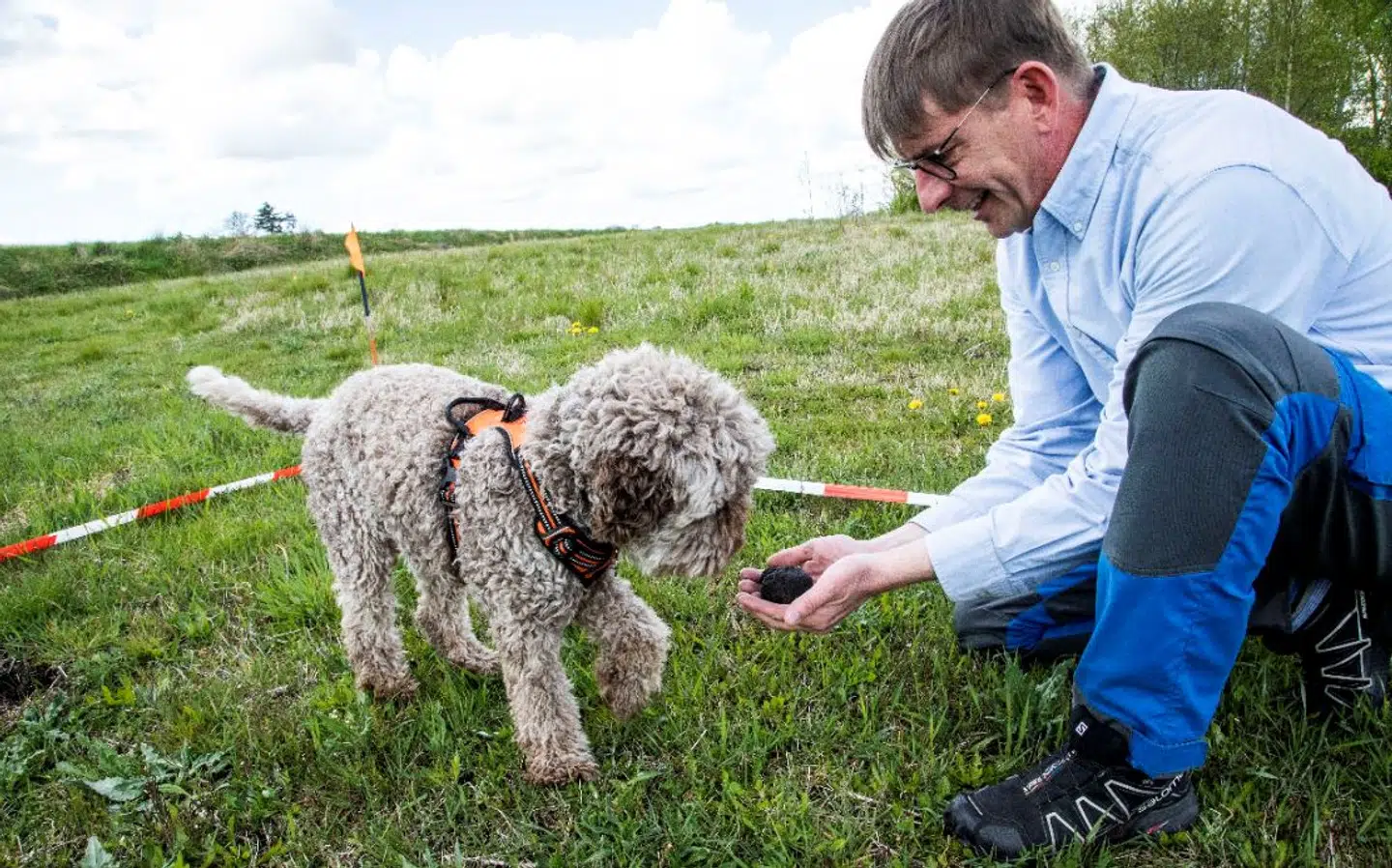 Både Rune Richtendorff og hunden Asti elsker at træne kunsten at finde trøfler. Foto: Sara Skytte.