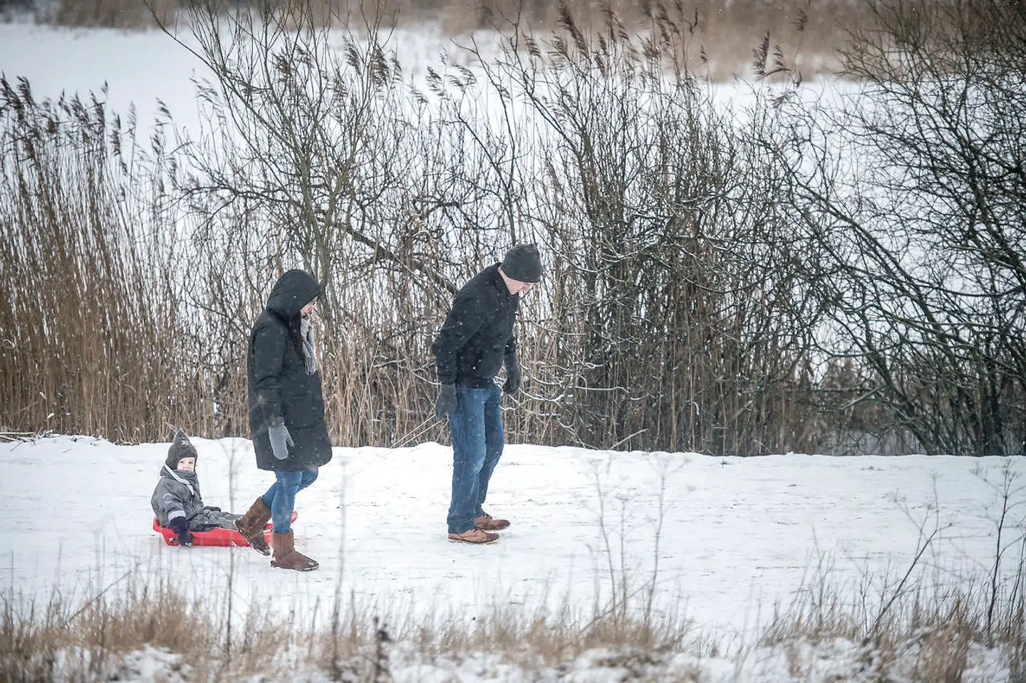 (Arkivfoto)