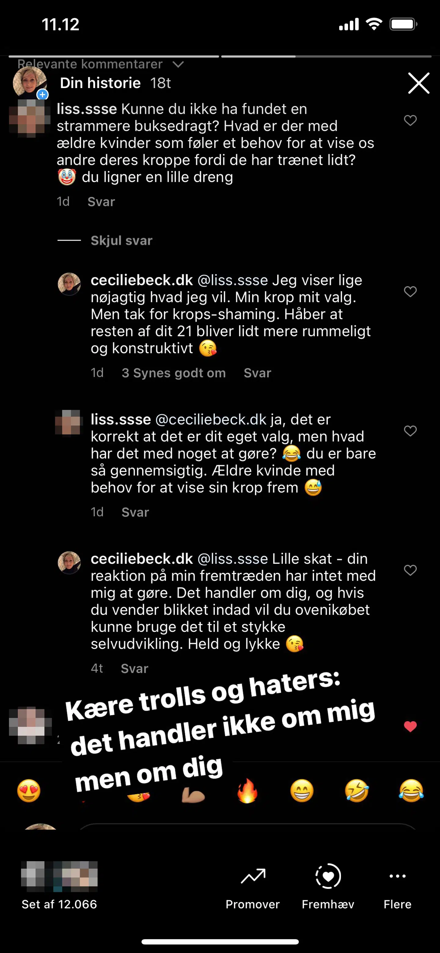 Her kan du se de kommentarer, som siden er blevet slettet fra Cecilie Becks profil.