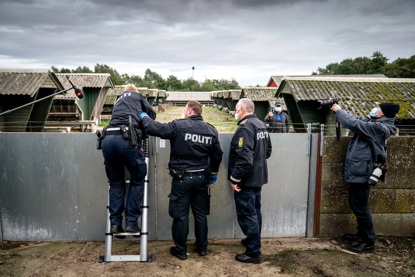 Minkavler Thorbjørn Jepsen ønsker ikke at lukke politiet ind. De skal derfor selv skabe sig vej ind for at aflive ved at klippe lås op ind til hans minkfarm i Gjøl i Nordjylland, fredag den 9. oktober 2020. Hans farm lå i en smittezone, hvor der var lovhjemmel til at aflive dyrene. Andre steder i landet – uden for smittezonerne – var politifolk instrueret i at sige, at minkavlerne skulle slå deres dyr ned, selvom der manglede lovhjemmel. (Foto: Mads Claus Rasmussen/Ritzau Scanpix)