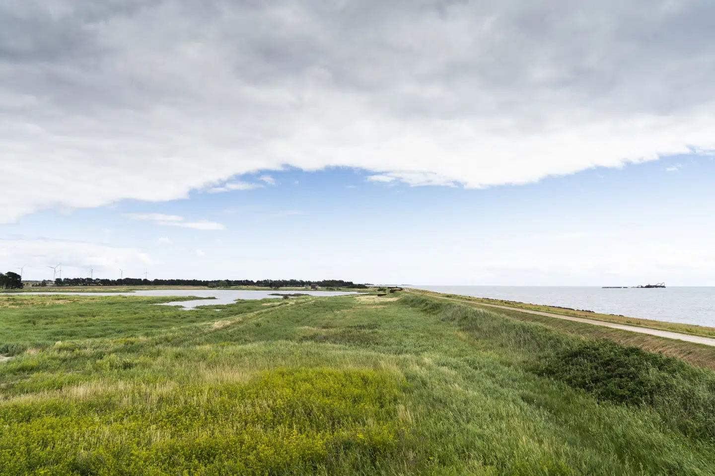 Femern-forbindelsen skal efter planen stå klar i 2029 og vil forkorte rejsetiden i bil til 10 minutter fra de nuværende 45 minutter med færgen. (Arkivfoto) Ida Marie Odgaard/Ritzau Scanpix