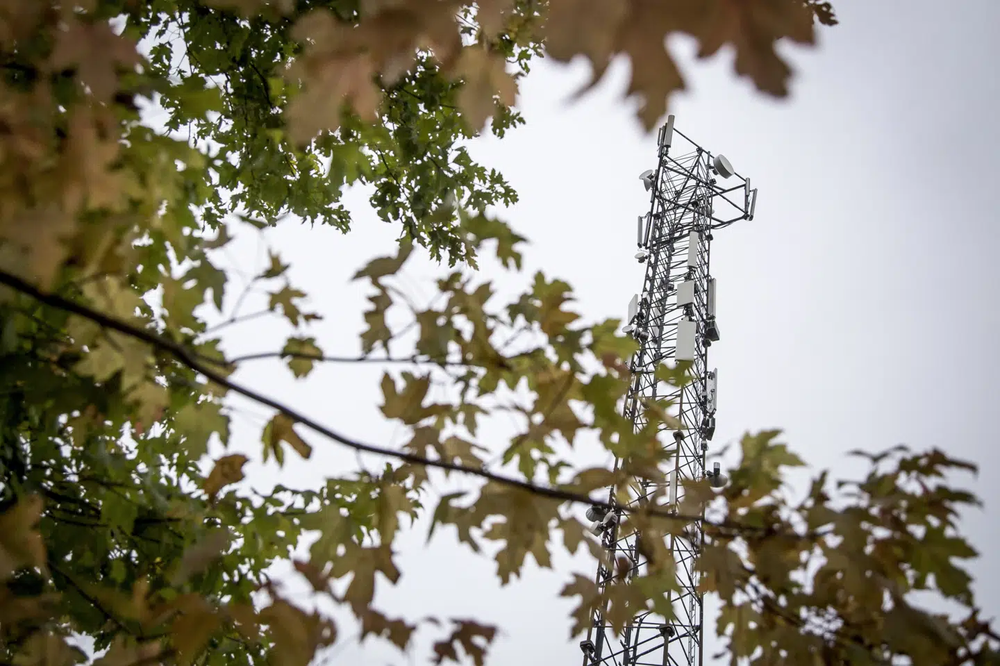 Det er via sine telemaster, at 3 kan måle danskerne mobilitet. I foråret leverede 3 lignende data til Statens Serum Institut for at myndighederne kunne skabe sig et overblik over nedlukningens effekt, oplyser Jeppe Waidtsløw. Mads Claus Rasmussen/Ritzau Scanpix