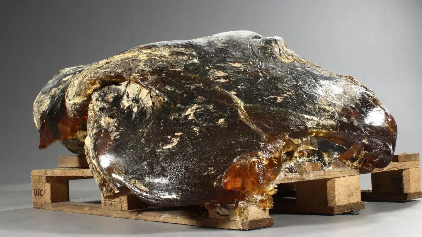 Her ses muligvis verdens største ravklump. Foto: Lauritz.com