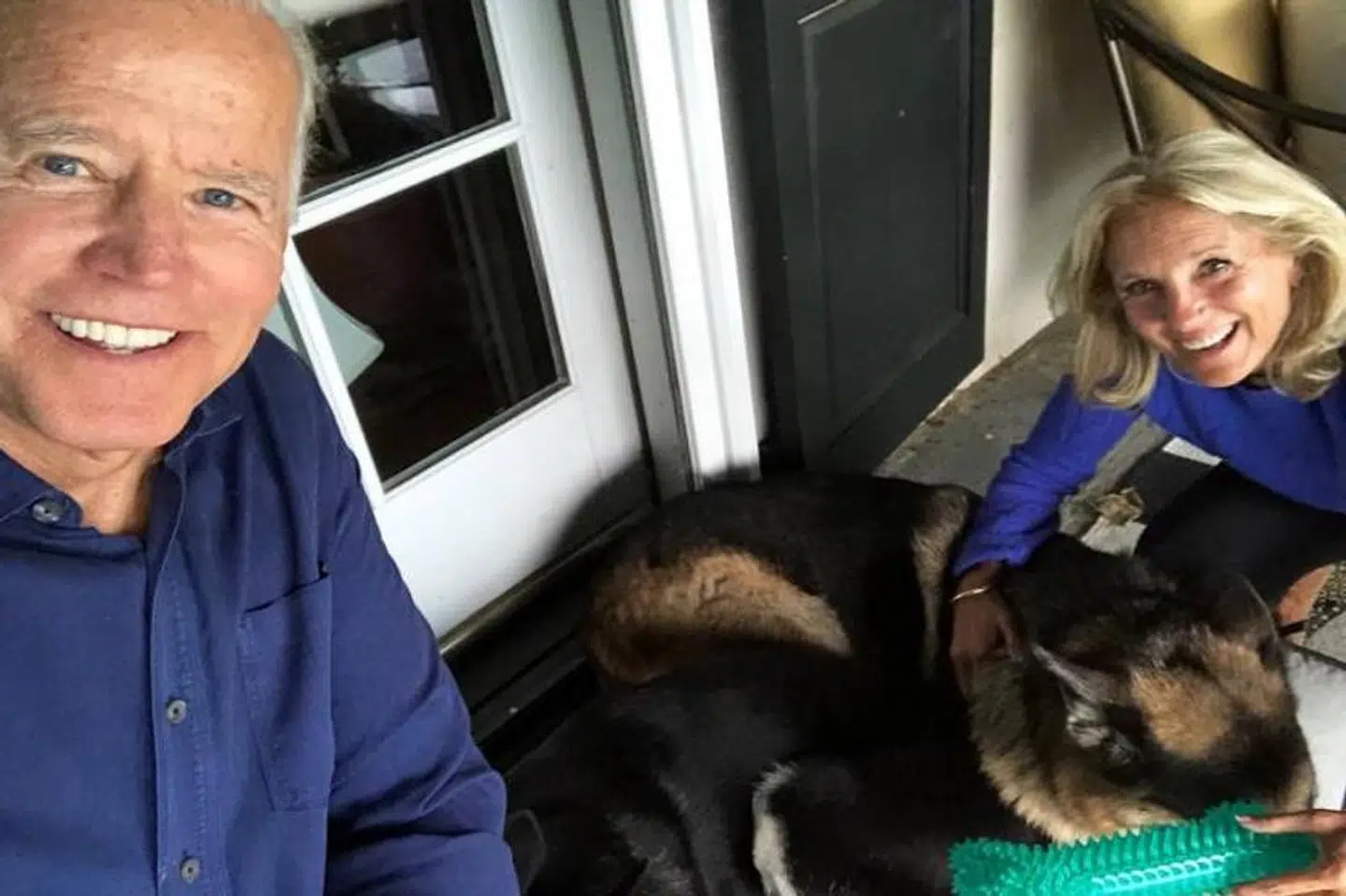 Joe og Jill Biden sammen med deres to schæferhunde Champ og Major.