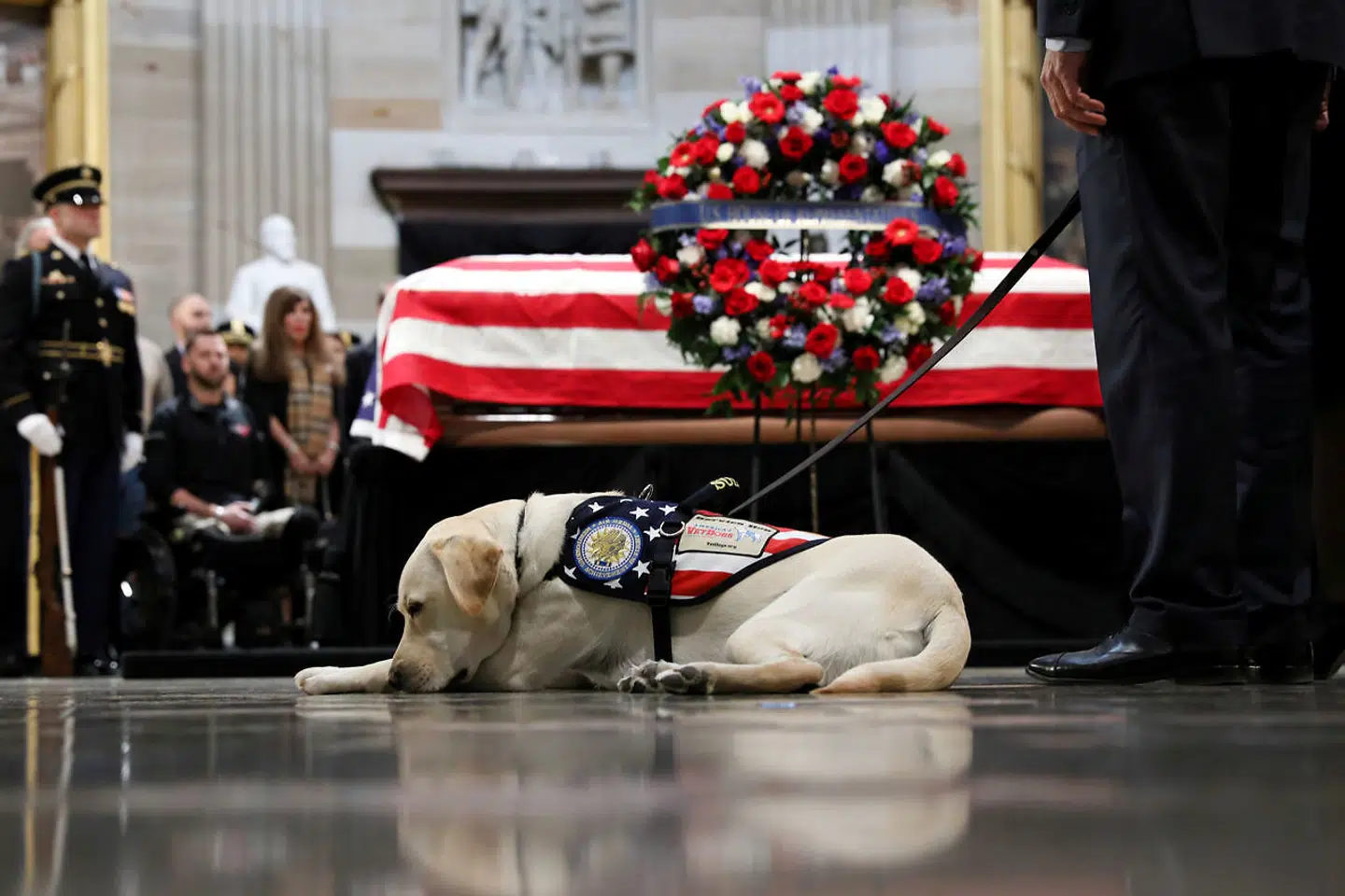 Sully var præsident George H.W. Bush' service hund. Har holder Sully vagt ved præsidentens kiste.