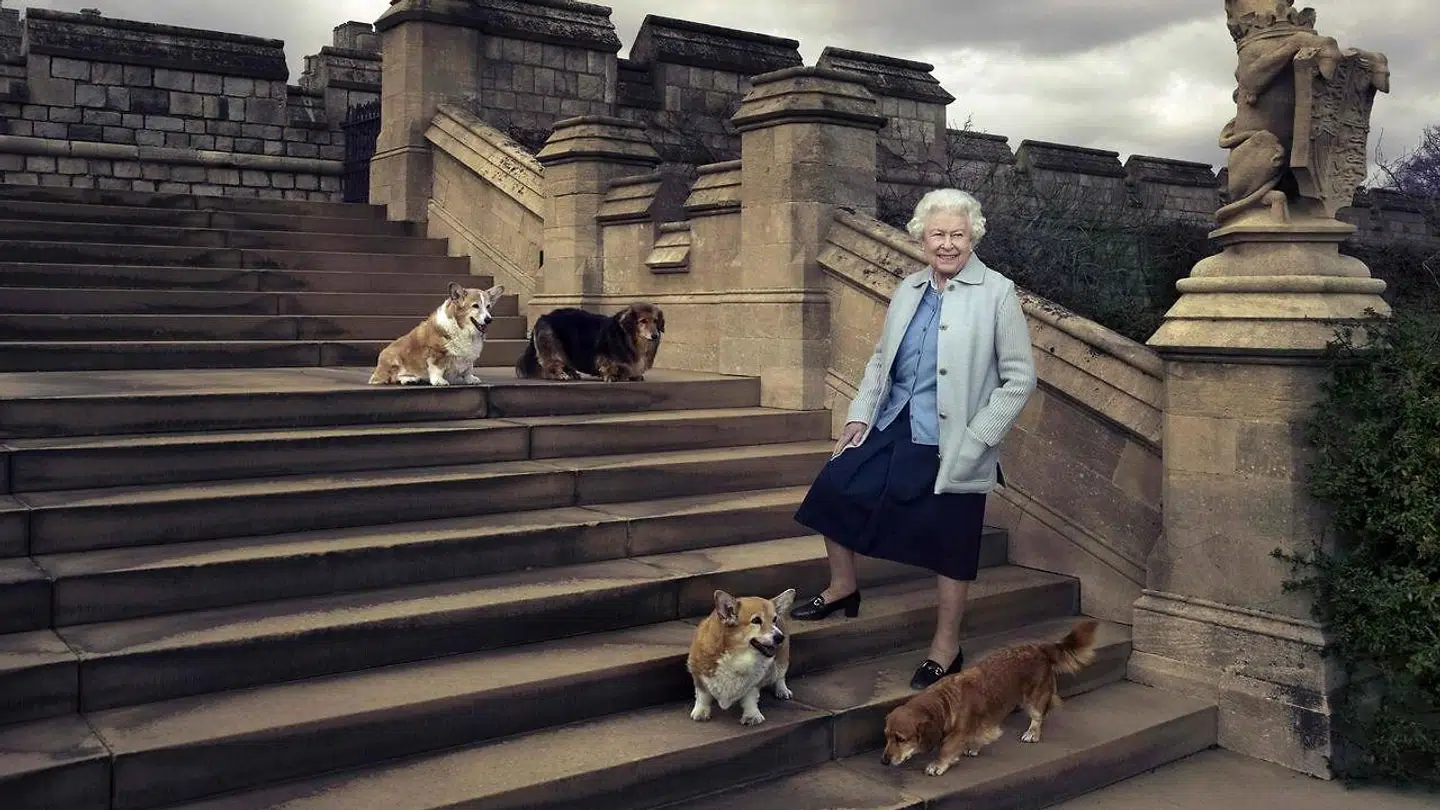 Dronning Elizabeth ses her med alle sine hunde i anledningen af hendes 90-års fødselsdag tilbage i 2016.