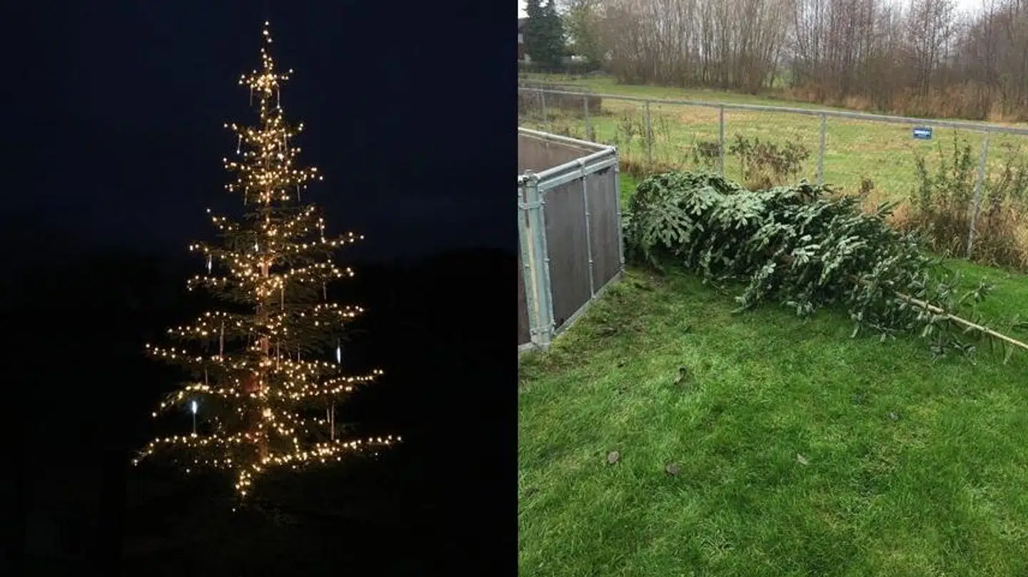 Sådan så det ud, da lysene i træet blev testet – og sådan blev det fundet 1. december.
