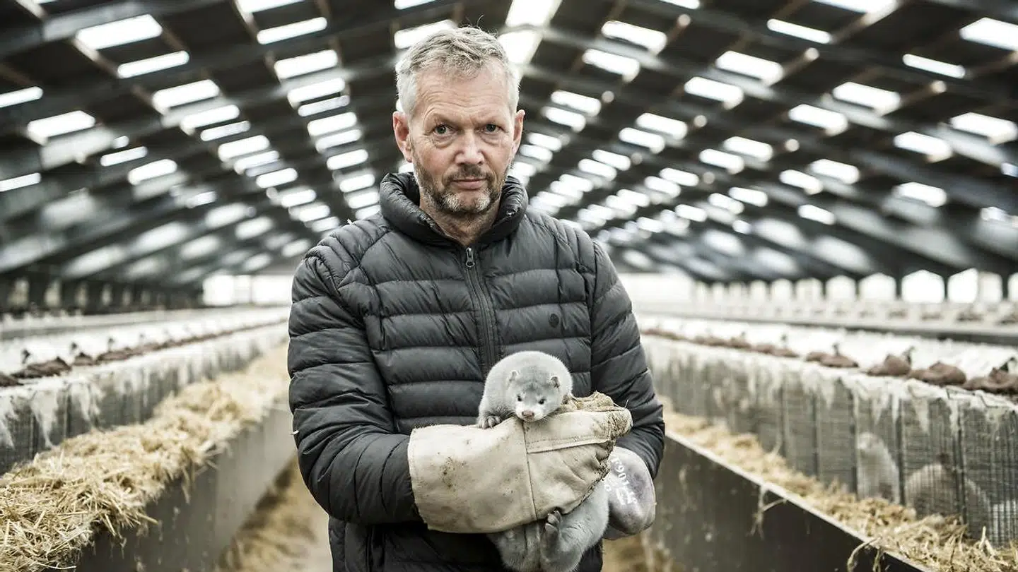 Peter Hindbo får besøg af Mette Frederiksen torsdag. De skal snakke om Peter Hindbos nu tidligere minkfarm og den generelle minksituation.