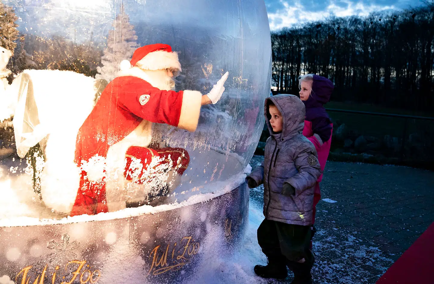 Julemanden i coronasikker plastikboble åbner Julen i Aalborg Zoo, fredag den 13. november 2020. Hele Aalborg Zoo er pyntet op til jul med masser af julelys og stemning. Men julemanden må jo i år ikke komme tæt på børnene og samle for mange mennesker. Derfor har man lavet denne sikre "julemandsboble" hvor børnene kan komme tæt på uden risiko for smittespredning.