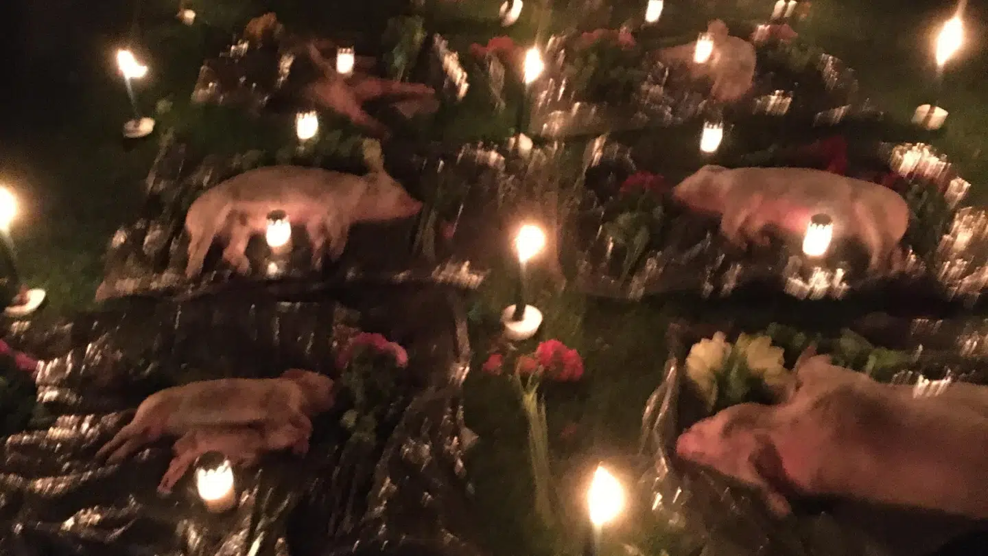 Billedet her er taget af aktionens bagmænd.