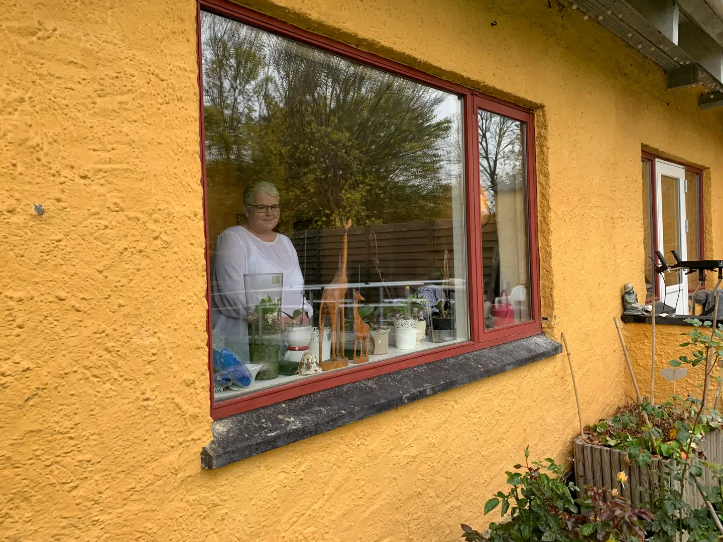 Carina Backer står her og kigger ud ad vinduet i sit hus, da B.T. besøger hende og ægtemanden i Hyllinge tæt på Næstved i det sydlige Sjælland. Foto: Thomas Nørmark Krog