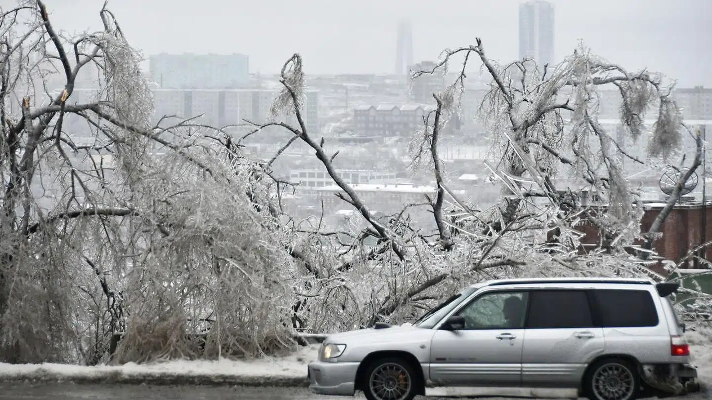 Billeder taler vist deres tydelig sprog om vejrforholdene i Vladivostok.