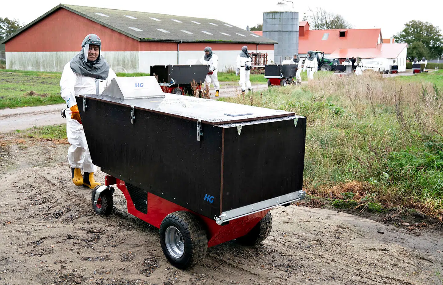 Minkene aflives i kasser, hvor de gasses og efterfølgende køres til containere.