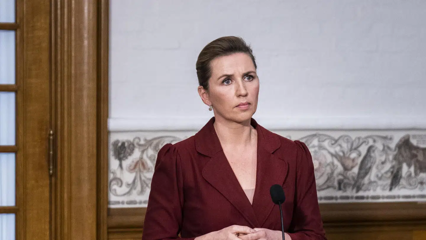 Statsminister Mette Frederiksen må udskrive valg, hvis hun har talt usandt i sagen om den ulovlige instruks til danske minkavlere om, at de skulle slå deres mink ned.