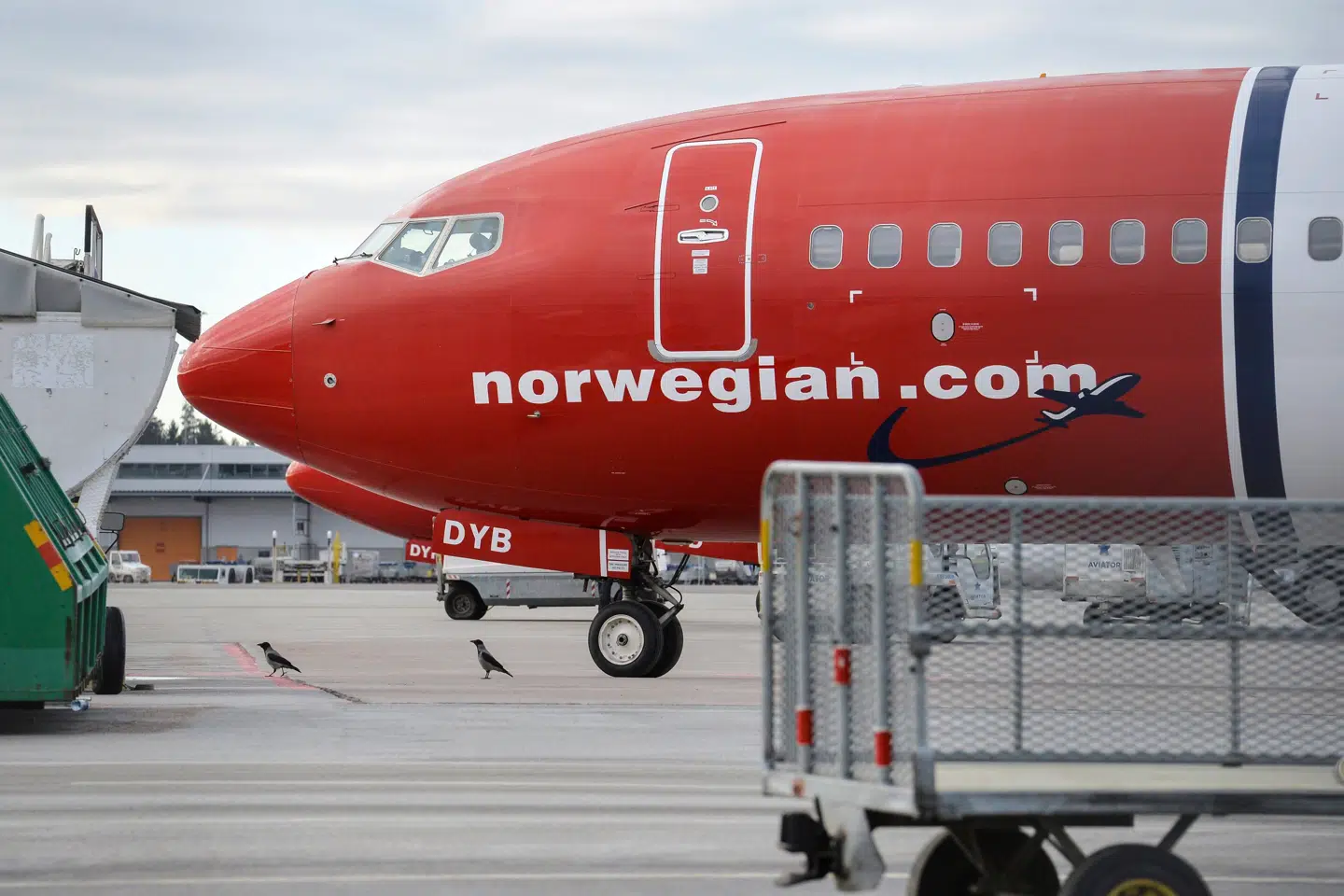 Norwegian har besluttet at reducere fra 21 til 6 operative fly og hjemsende 1600 ansatte, hvorfor de danske ruter lukkes. (Arkivfoto) Johan Nilsson/Ritzau Scanpix