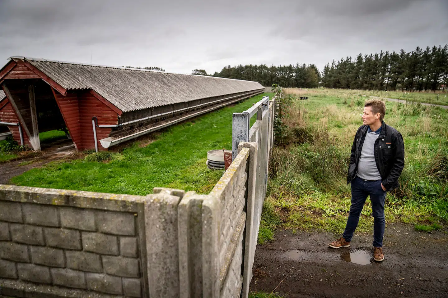 Minkavler Frank Andersen, 48 år, ved sin minkfarm i Hjørring i Nordjylland. Han tror ikke, han vender tilbage til at være minkavler, når hans bestand er slået ned.