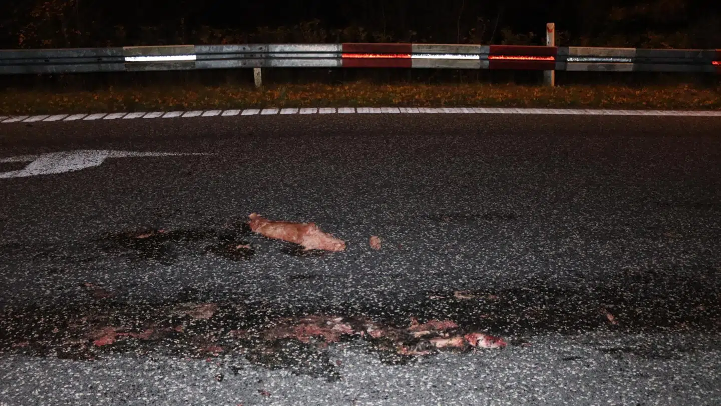 Beredskab er på stedet. Foto: Presse-foto.dk