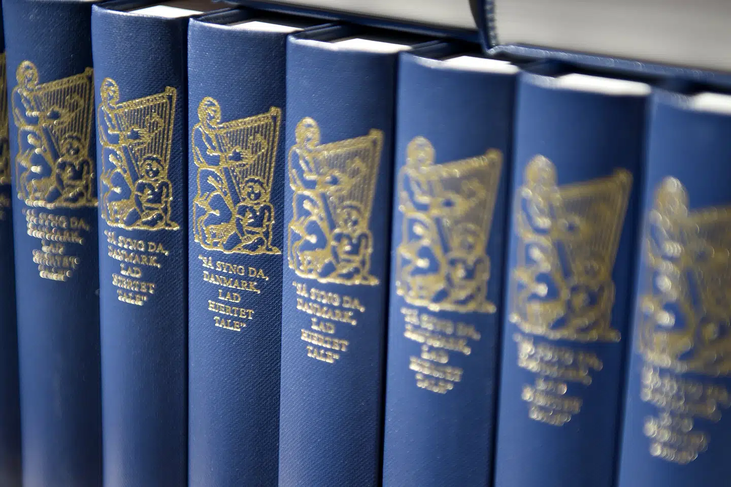 En af de nye 151 sange i Højskolesangbogen bliver blandt andet Solen er så rød, mor med tekst af Harald Bergstedt. (Arkivfoto) Torkil Adsersen/Ritzau Scanpix