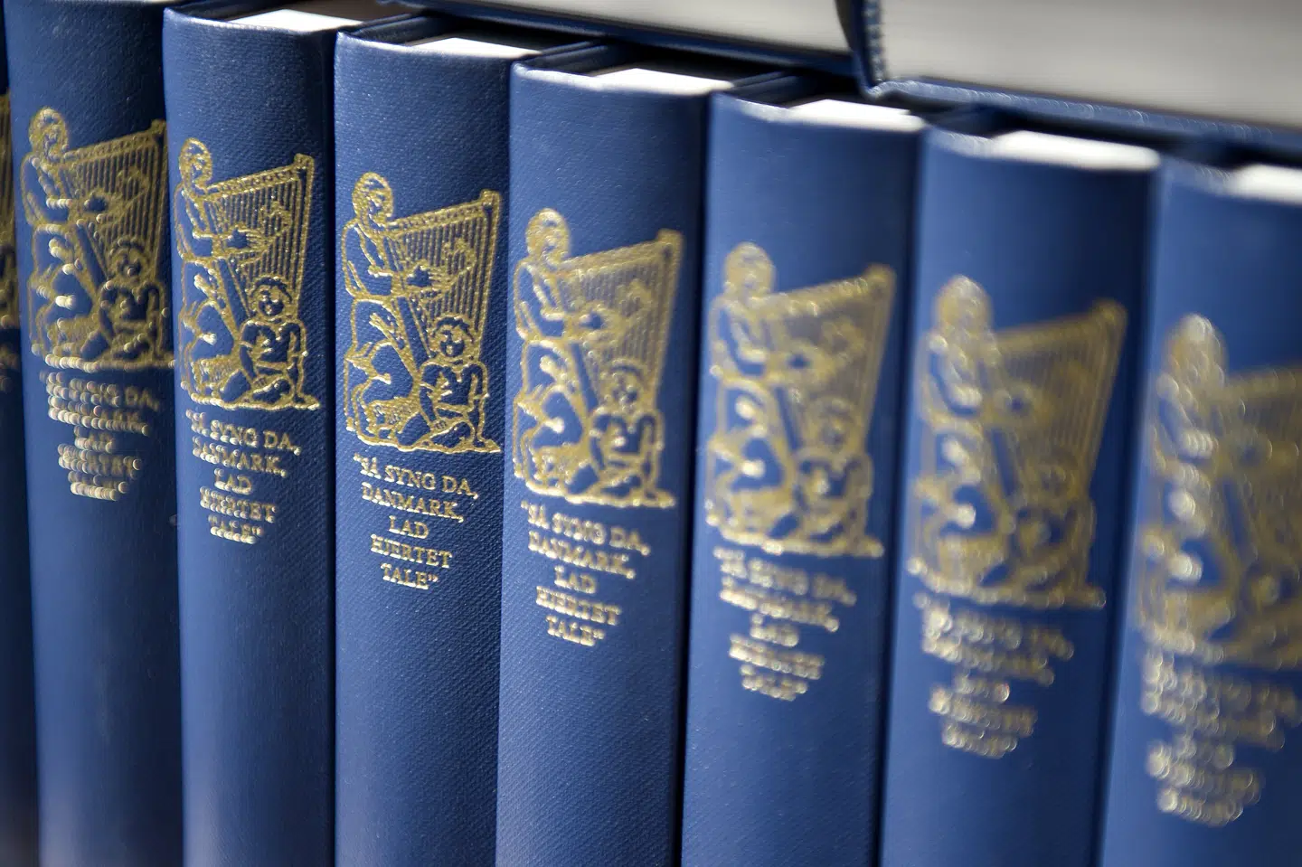 En af de nye 151 sange i Højskolesangbogen bliver blandt andet Solen er så rød, mor med tekst af Harald Bergstedt. (Arkivfoto) Torkil Adsersen/Ritzau Scanpix