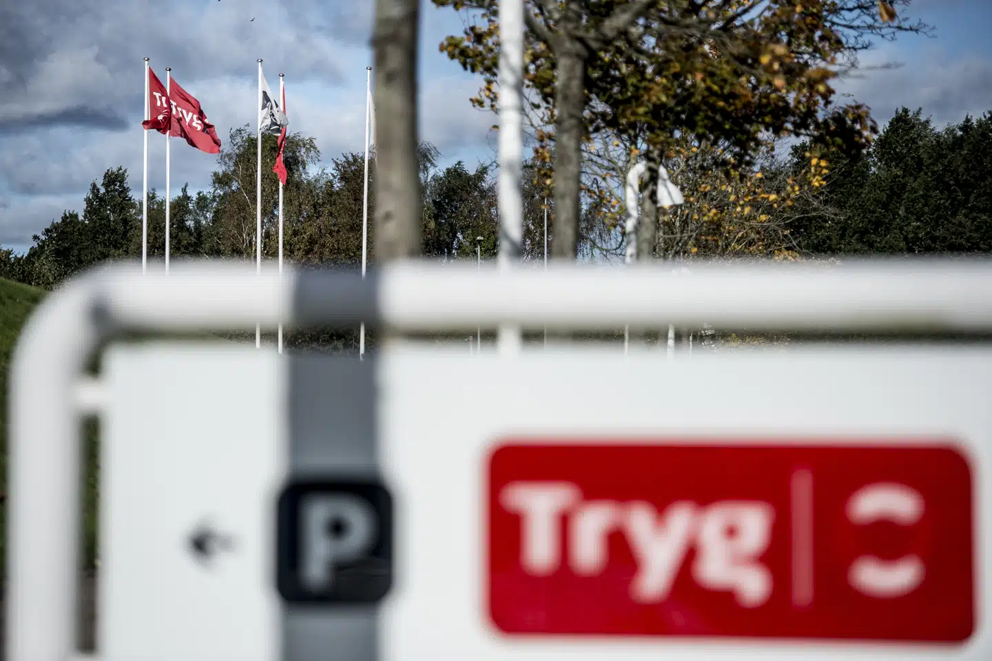 Tryg kan sammen med et andet forsikringsselskab være på vej til at overtage konkurrenten Codan Danmark. (Arkivfoto) Mads Claus Rasmussen/Ritzau Scanpix