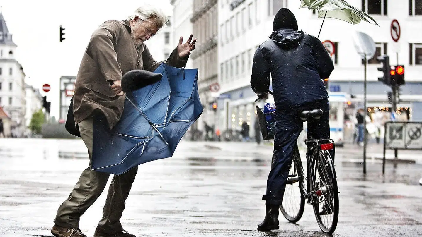 Et kraftigt blæsevejr er på vejr mod Danmark og rammer landet natten til torsdag. (Arkivfoto)